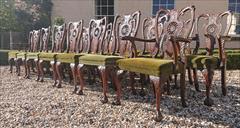 22 dining chairs debenham house 14 and 8 incl 4 the singles 22w 22d 18½hs 39h the carvers 25w _31.JPG